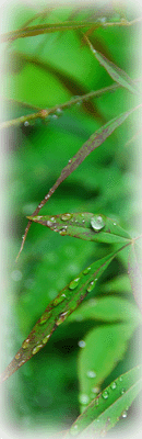 MAP-image-image02